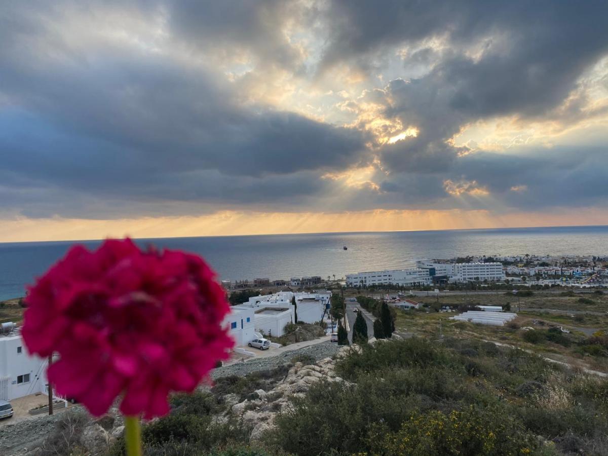 Melania Gardens Apartment 2 Pafos Dış mekan fotoğraf